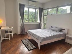 Clementi Park (D21), Condominium #508098831